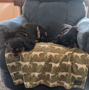 Meet your Posher, David